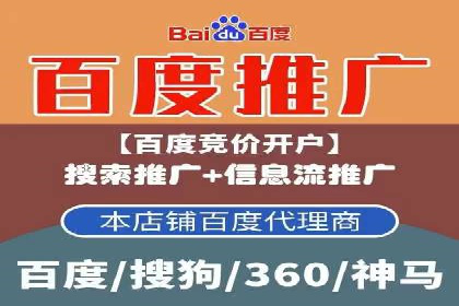 竞价推广实战攻略：成功案例分享